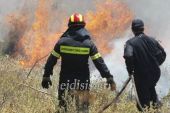 Κιλκίς: Φωτιά σε νησίδα στον Αξιό ποταμό στην περιοχή του Άσπρου