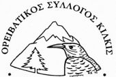 Εξόρμηση σε Νυμφαίο – Αμύνταιο και κοπή βασιλόπιτας του Ορειβατικού Συλλόγου Κιλκίς