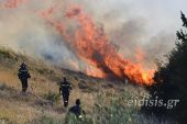 Φωτιά σε δασική έκταση του Κιλκίς – Στη μάχη εναέρια